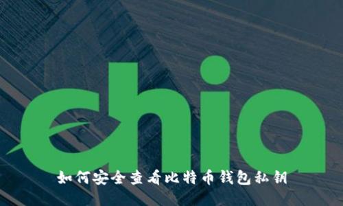 如何安全查看比特币钱包私钥