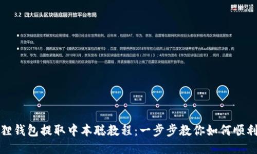 小狐狸钱包提取中本聪教程：一步步教你如何顺利提取