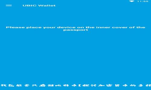 冷钱包能否只存储比特币？探讨加密货币的多样性