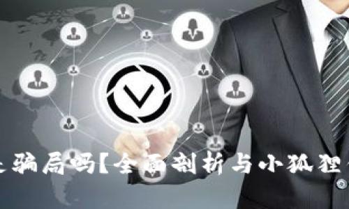 小狐狸钱包是骗局吗？全面剖析与小狐狸钱包使用指南