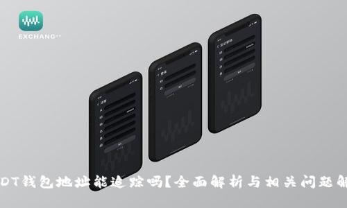 USDT钱包地址能追踪吗？全面解析与相关问题解答