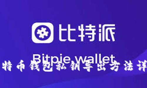 比特币钱包私钥导出方法详解