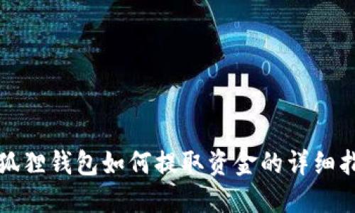 小狐狸钱包如何提取资金的详细指南