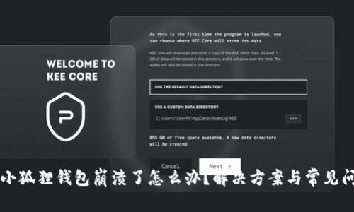 电脑端小狐狸钱包崩溃了怎么办？解决方案与常见问题解答